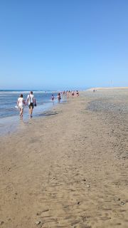 GC-Playa de Maspalomas 2026-118.jpg